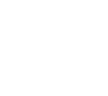 החופש לבחור דלתות פנים